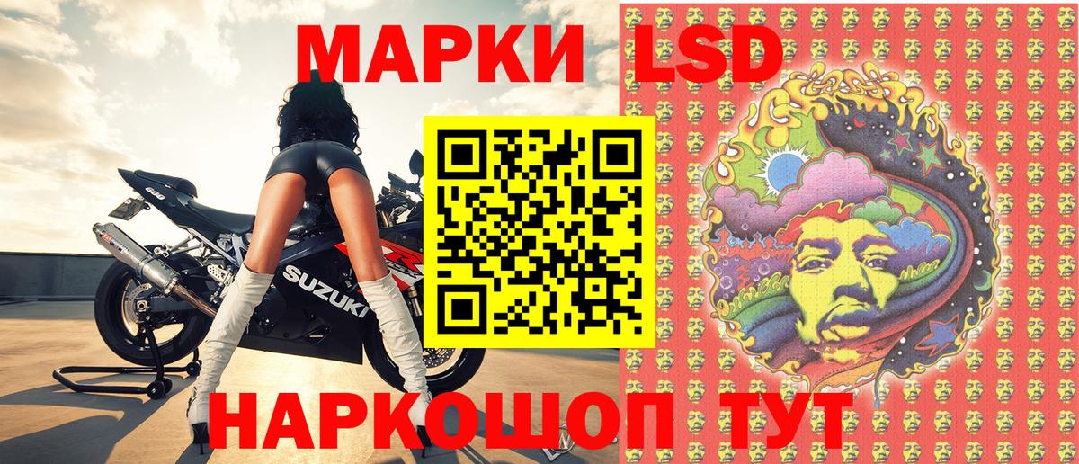 Марки N-bome 1,5мг Лесной
