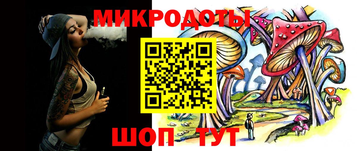 Лесной  Галлюциногенные грибы прущие грибы  Вход с VPN 